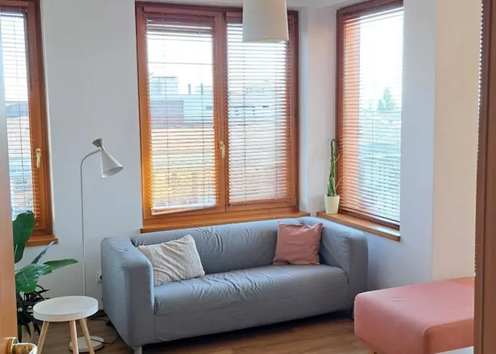 La Siesta Penthouse 公寓 布达佩斯