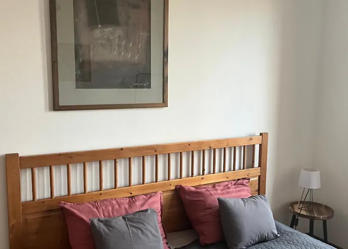 公寓 La Siesta Penthouse 布达佩斯